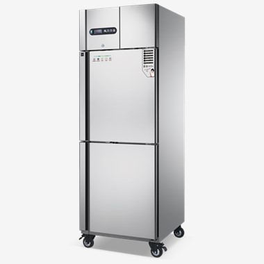 Friġġ b'żewġ bibien